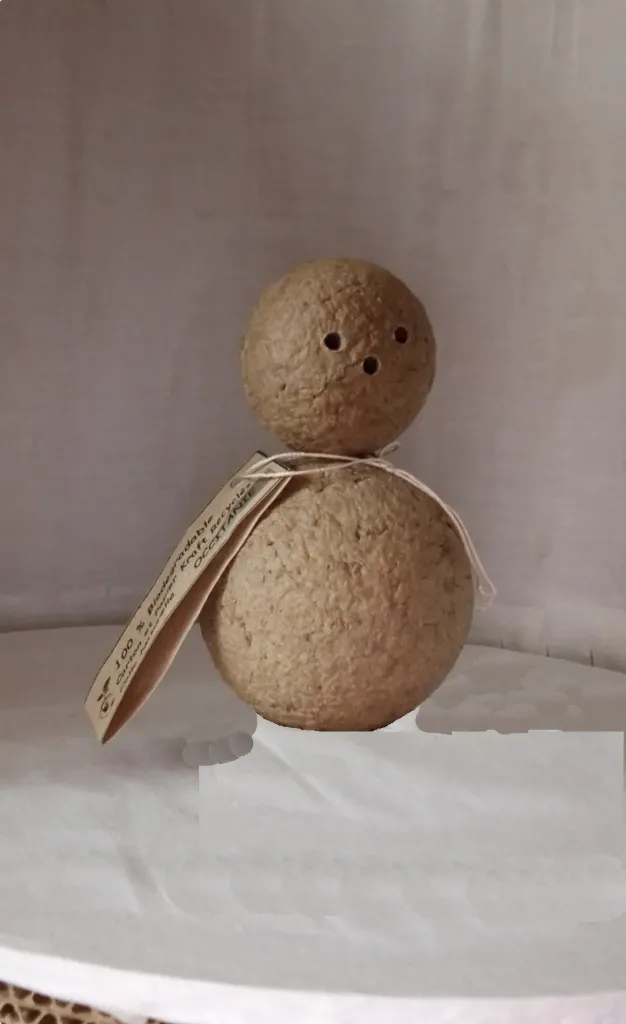 Bonhomme de Neige